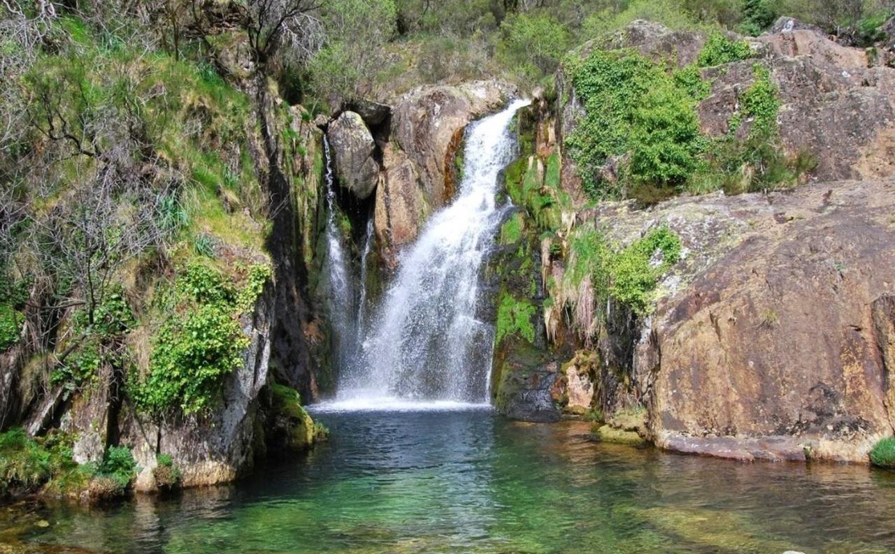 Arouca Passadicos Alojamento & Jacuzzi Dış mekan fotoğraf
